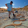 Sieves in action on the river
